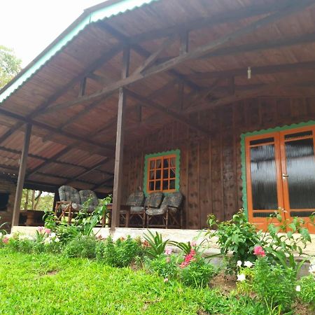 Sitio Recanto Da Guarda - Cabana Araucaria Bom Retiro  Eksteriør bilde