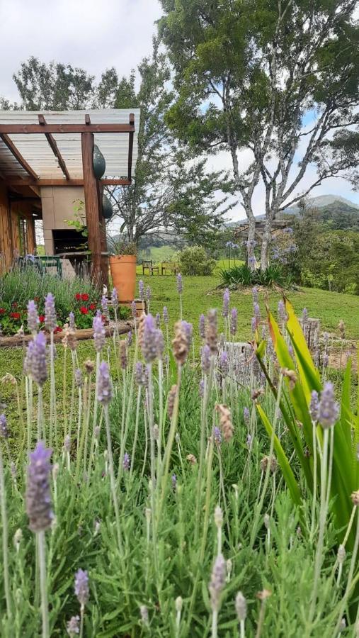 Sitio Recanto Da Guarda - Cabana Araucaria Bom Retiro  Eksteriør bilde