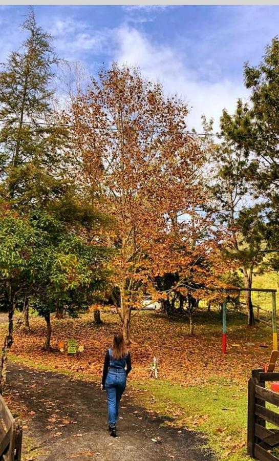 Sitio Recanto Da Guarda - Cabana Araucaria Bom Retiro  Eksteriør bilde